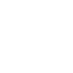 Avidus School